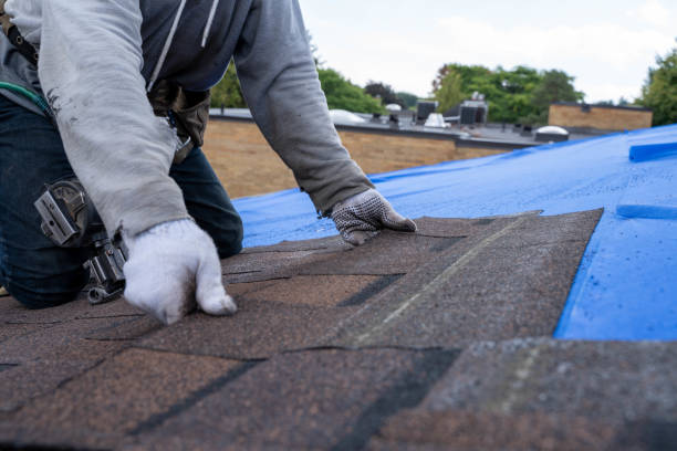Best Best Roofing Contractors  in Dutch Island, GA